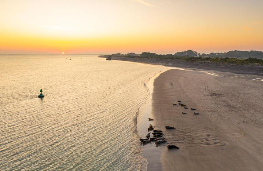 Bed and Breakfast L'Instant Cayeux-sur-Mer Zewnętrze zdjęcie