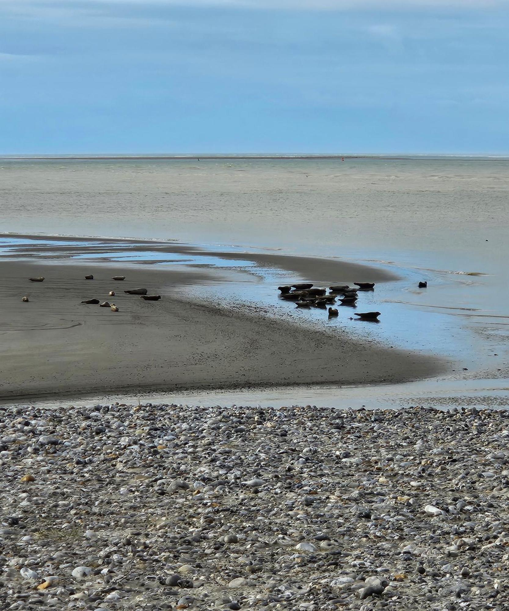 Bed and Breakfast L'Instant Cayeux-sur-Mer Zewnętrze zdjęcie